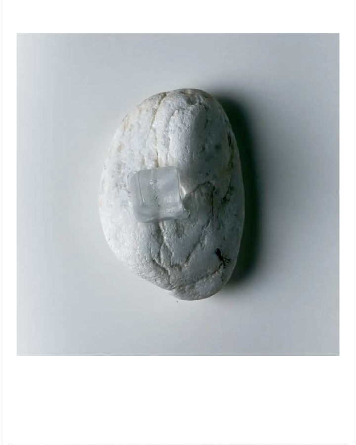 여름이니까,
⠀
간단한 향의 루틴으로 여름을 더욱 쾌적하게 보낼 수 있습니다.
⠀
1. 룸 스프레이 활용하기
무더운 여름. 에어컨 바람만으로는 쉽게 답답해지는 실내 공기를 즉각적으로 상쾌하게 바꿔 줍니다. 스프레이 한 번이면 열기와 눅눅함 사이에 가벼운 허브·시트러스 노트가 퍼져, 마치 바닷바람을 집 안으로 불어넣은 듯한 느낌을 선사하죠.
⠀
2. 핸드워시 사용하기
자주 손을 씻게 되는 여름철. 세정과 동시에 상큼한 시트러스나 민트 계열 향으로 개운함을 느끼게 해 줍니다. 과학적으로도 시트러스 오일이 항균 효과를 조금 더 높여 준다는 연구가 있어, 청결 관리와 함께 기분 전환에도 도움을 줍니다.
⠀
3. 클로젯 택 걸어두기
습기로 인해 눅눅해지기 쉬운 장마철. 옷장 내부에 클로젯 택을 걸어 두면 의류에 직접 스프레이를 뿌리지 않고도 은은한 산뜻함을 더해 줍니다. 옷장 문을 열 때마다 상쾌한 향이 퍼져, 습기와 곰팡이 냄새를 억제하는 데도 효과적입니다.
⠀
⠀
@lesitepigeon
⠀
DELIVERER FOR PLEASANT LIFE
LE SITE PIGEON
⠀
⠀
⠀
#르시뜨피존 #LESITEPIGEON
#아포테케프라그란스 #APOTHEKEFRAGRANCE