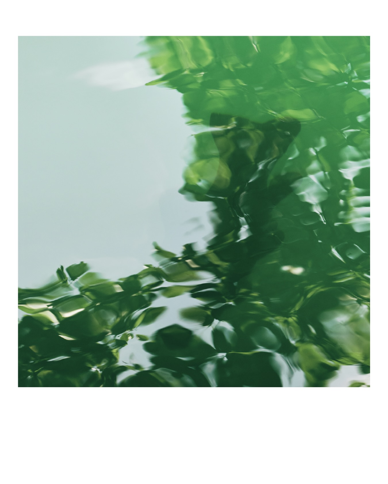 처서, 더위가 물러나는 초록의 문턱
⠀
오늘은 더위가 물러간다는 처서입니다. 이제 곧 한낮의 공기는 어제보다 가벼워지고, 물가의 초록은 조용히 흐릿해질 것 같습니다. 예전 어른들은 이때쯤 모기 입도 비뚤어진다 하셨지요.
⠀
창문을 반쯤 열어 둔 채, 흔들리는 초록을 따라 생각의 온도를 낮추어 기분을 고르고, 지나간 여름에 미안해하지 않으며, 다가올 가을을 맞이하기 좋은 주말입니다.
⠀
처서의 주말, 소란보다 잔향으로 가득한 하루 보내시길 바랍니다. 🙏🏻
⠀
⠀
⠀
@lesitepigeon
⠀
DELIVERER FOR PLEASANT LIFE
LE SITE PIGEON
⠀
⠀
⠀
#르시뜨피존 #LESITEPIGEON
#처서