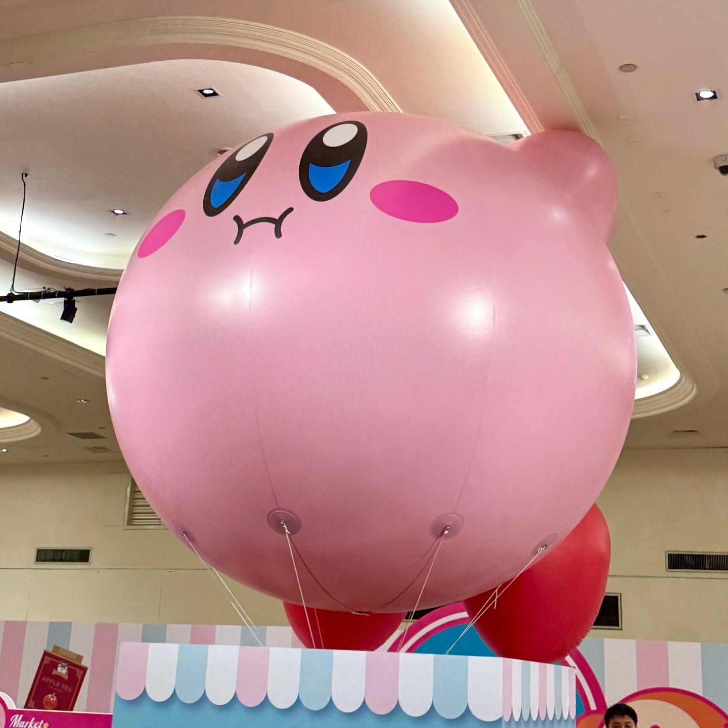 May be an image of toy, beach ball, balloon and text