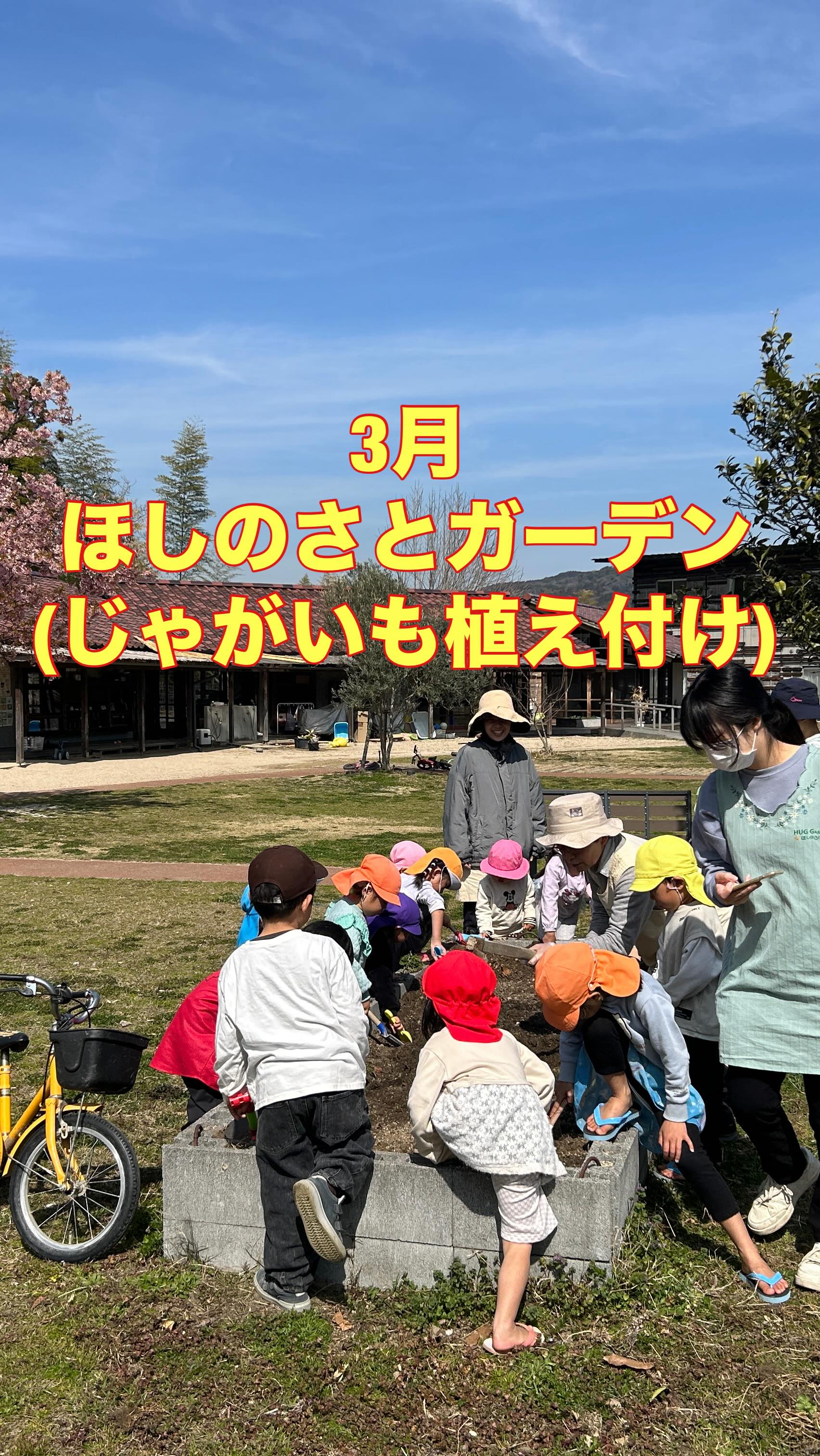 \ 春の植え付け祭り、開催!🥔✨ /
今日は園児&特養の皆さんでじゃがいもを植えました!
元気いっぱいの園児たちは、土の感触に大はしゃぎ😆
対する特養の皆さんは、まさに「畑のプロ」!
無駄のない動きと、あふれる笑顔がとっても印象的でした👏
「何個取れるかな?」「ポテトチップスにしたい!」
今から収穫が待ちきれません🍴
自然の中で、のびのび、イキイキ。
素敵な春の1ページになりました🌸 #じゃがいもの植え付け
#下松市 #ほしのさと #特別養護老人ホーム #huggardenほしのさとkids